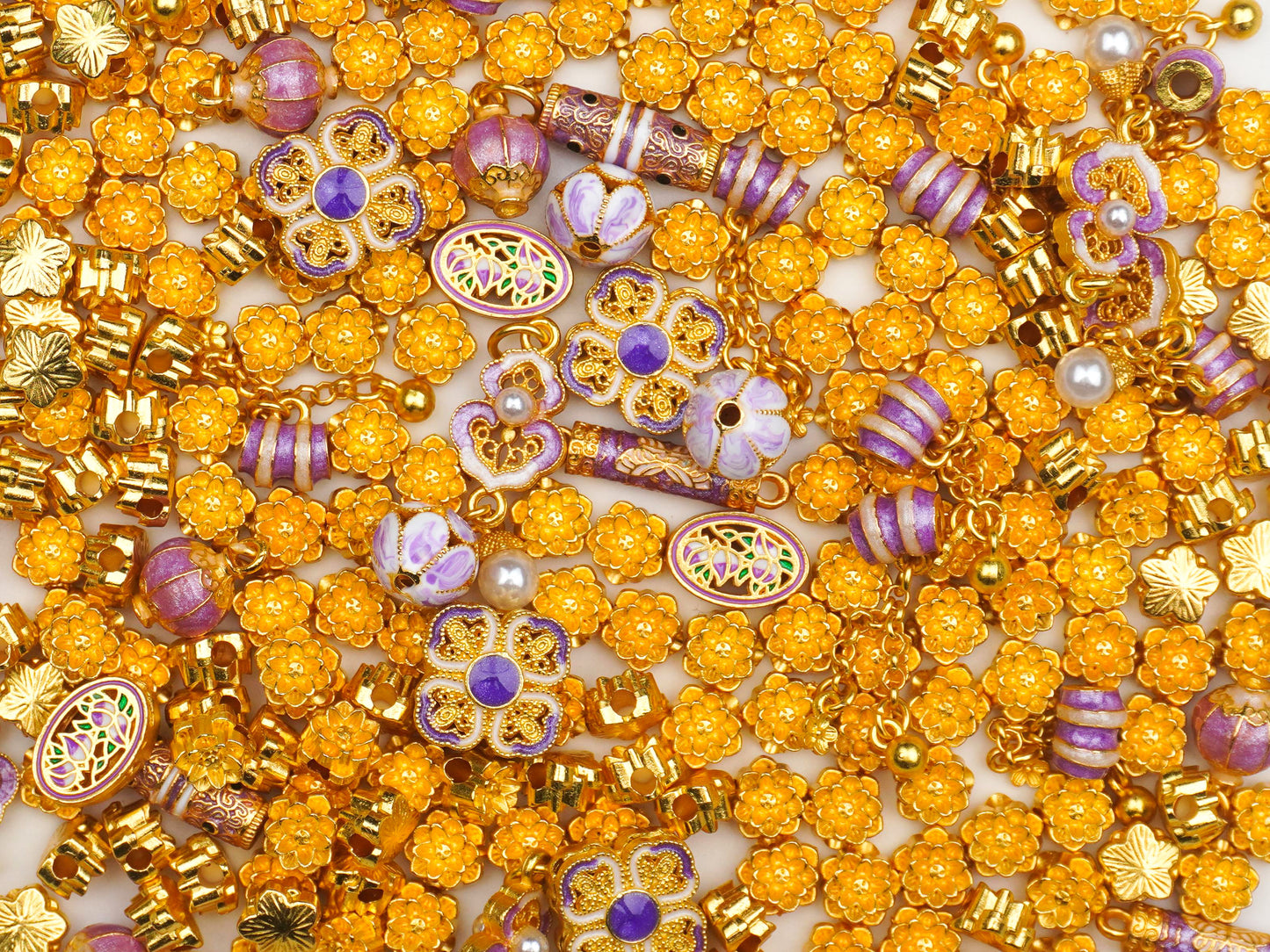 The TREASURE-Solar Garden