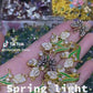 Giant Lux-Spring Light